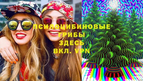 стафф Алзамай